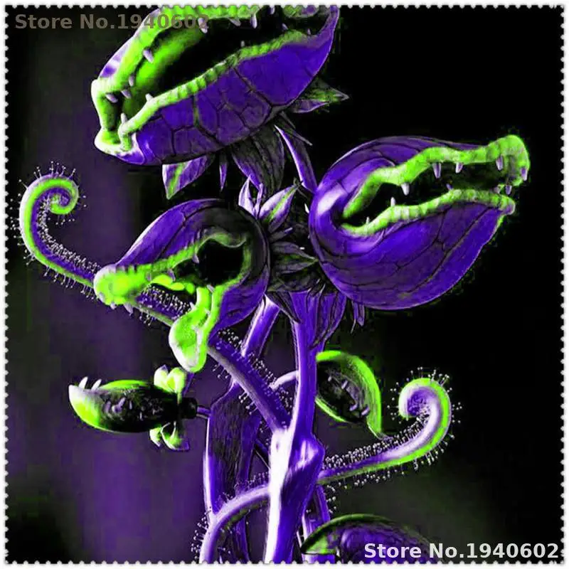 100 pcs Potted Insectivorous Plant bonsai Dionaea Muscipula Giant Clip Venus Flytrap bonsai For Home Garden Free Shipping 100 pcs Potted Insectivorous Plant bonsai Dionaea Muscipula Giant Clip Venus Flytrap bonsai For Home Garden Free Shipping
