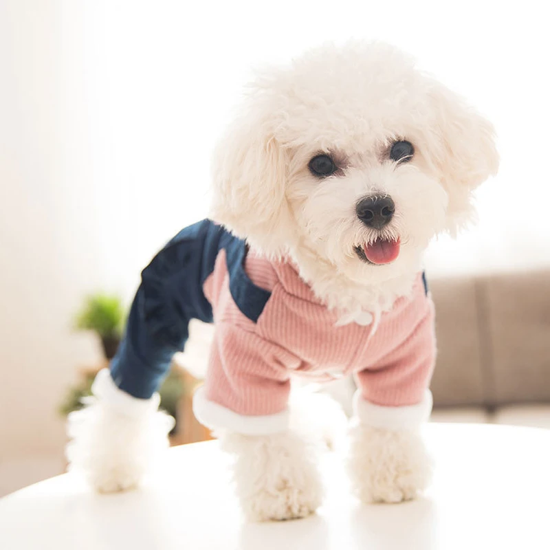 Cute Ears Pitbull Funny Dog Clothing Small Puppy Apparel For Yorkie Accessories Cute Winter Warm Thick Pet Hoodie Coat Pug Cute Ears Pitbull Funny Dog Clothing Small Puppy Apparel For Yorkie Accessories Cute Winter Warm Thick Pet Hoodie Coat Pug