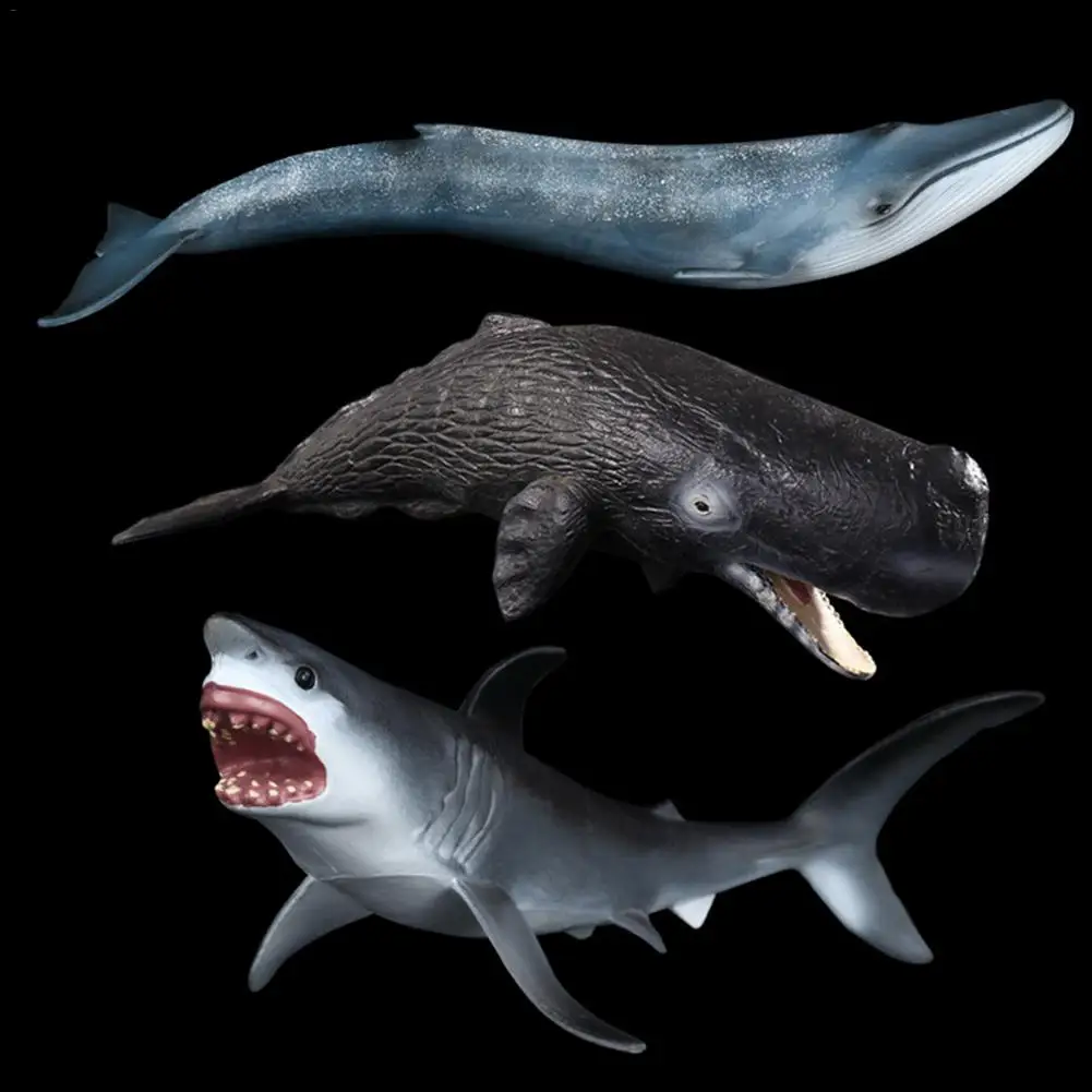  Large ocean sealife animals Emulational Blue Whale Sperm Whale Shark Animal Model toy kids learning toy children gift