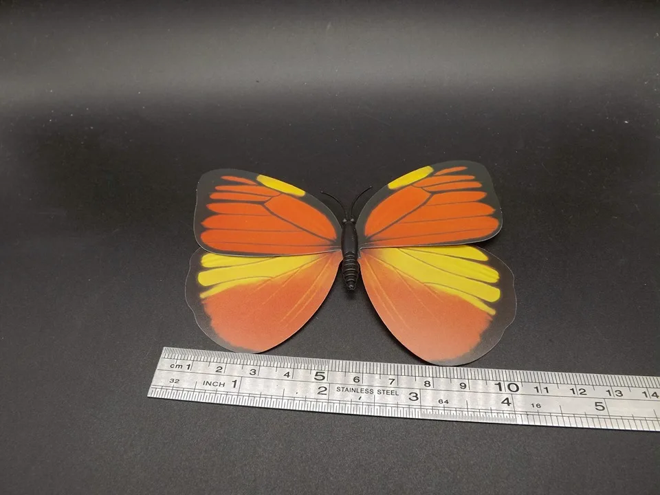 I229-Butterfly (9)