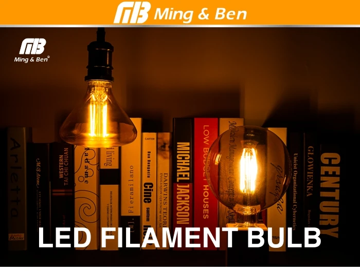 LED DZS  Bulb-1