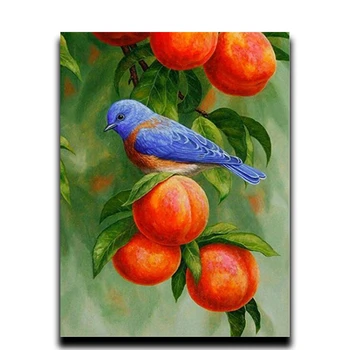 

Diamond embroidered animals paint diamond diy diamond mosaic full icon Embroidery with rhinestones "Fruit and bird"