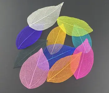 

200pcs Pressed Dried Dyed Magnolia Skeleton Leaf Leaves For Wedding Party Home Decoration Pendant Necklace Craft DIY Accessories