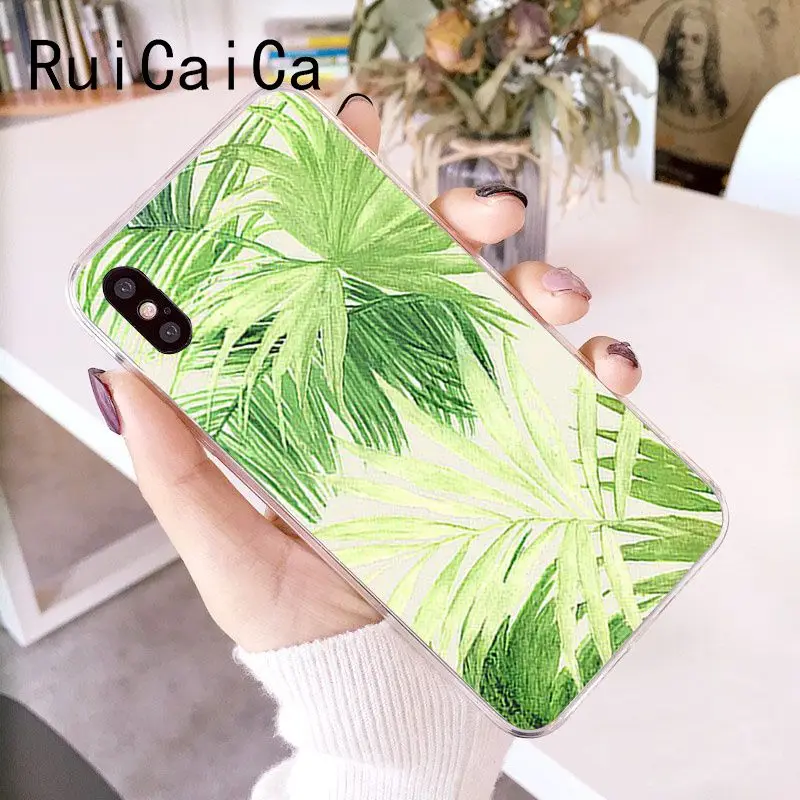 Palm tree Leaves Plant Flower