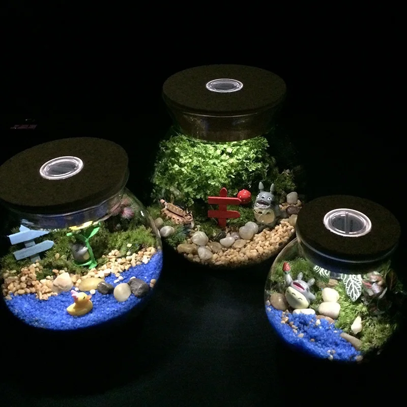 Multi-function Glass Vases Bottle Jars LED Light Home Decoration Wedding Party Terrarium Flower Landscape flower vase,glass vase