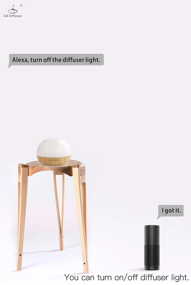 19K-Alexa_12