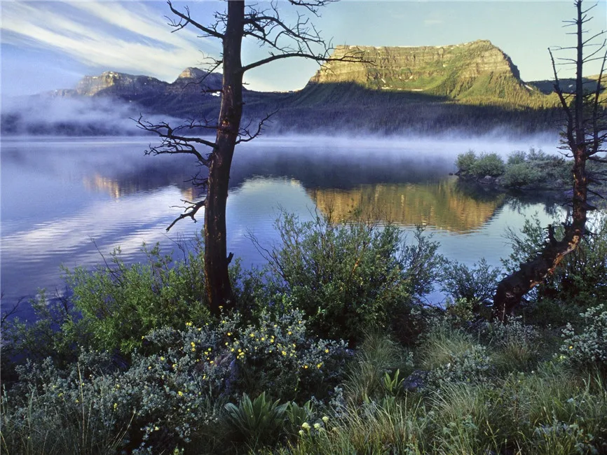 

LIFE MAGIC BOX Lakeside 150x200cm Custom Photo Backdrops Photo Studio Background Screen backdrop scenery N10109