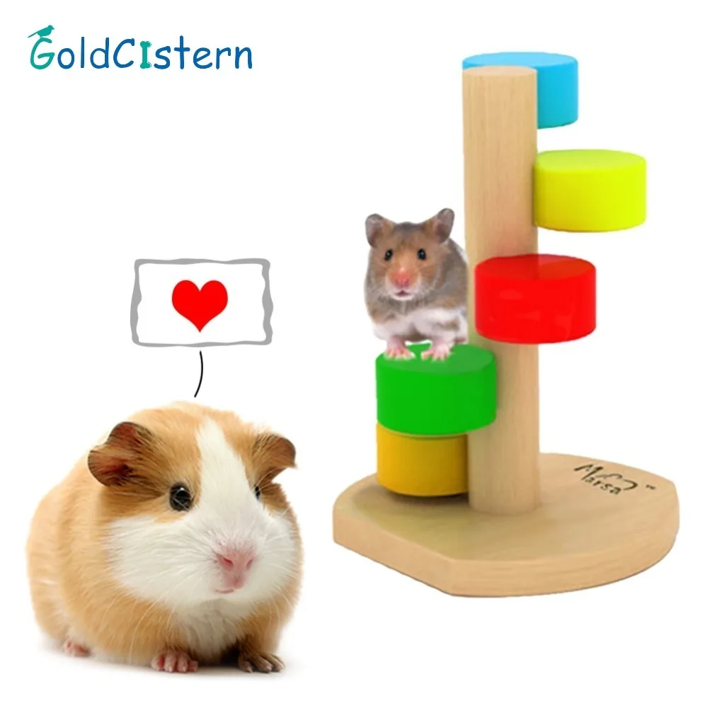guinea pig climbing