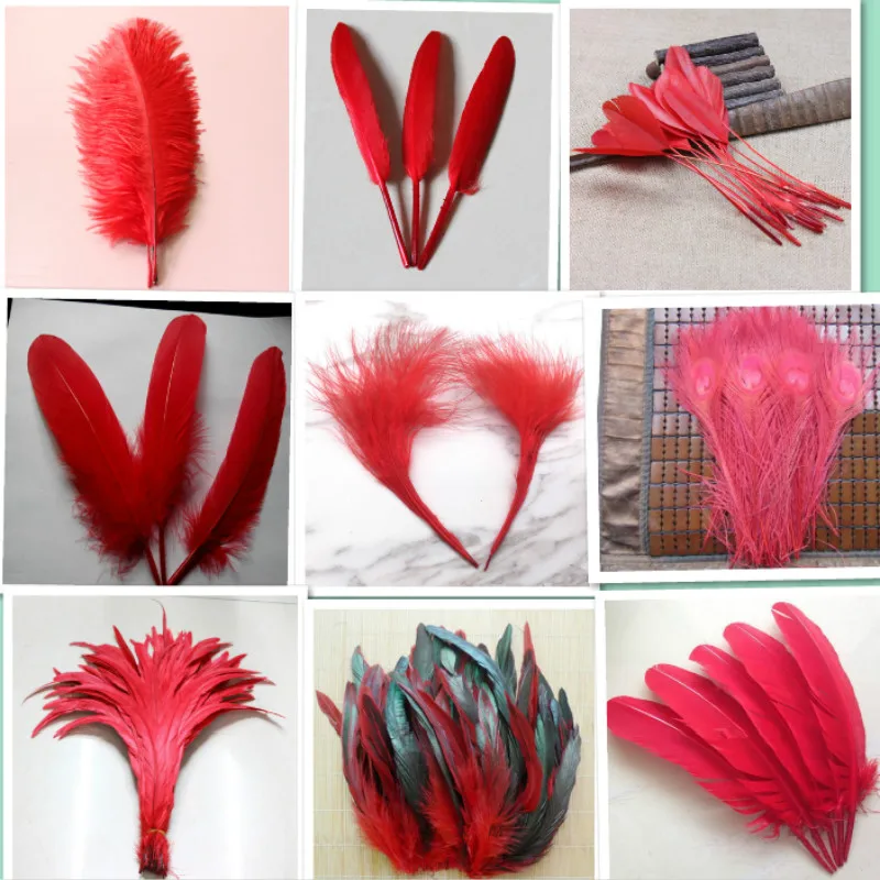 

20pcs15 kinds red of Beautiful Rooster feathers 5-30cm pheasant chicken plume for DIY Party Craft decoration