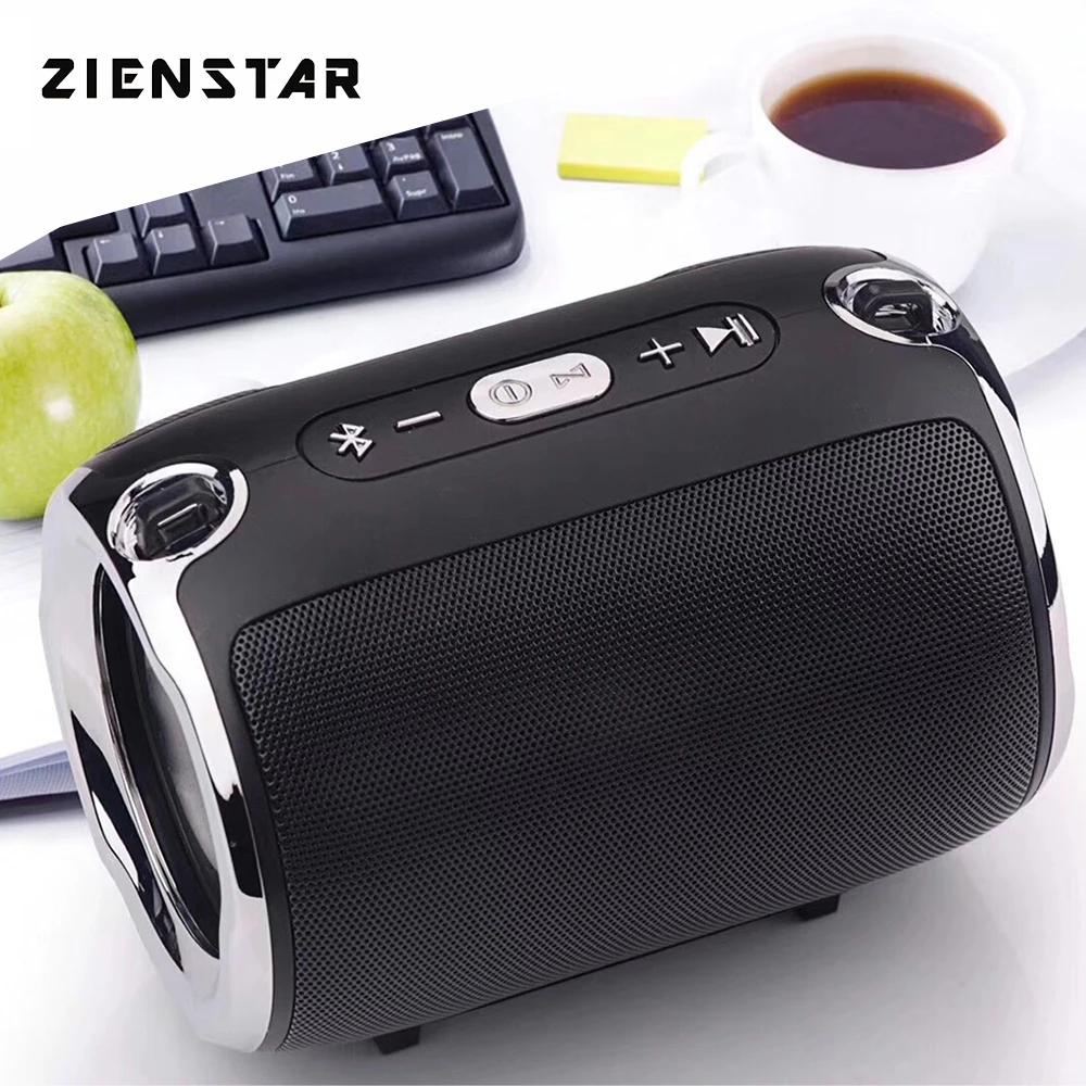 

ZIENSTAR Bluetooth Speaker Outdoor HIFI Column Subwoofer Wireless Portable Sound Box with Shoulder Belt Support FM Radio TF Mp3