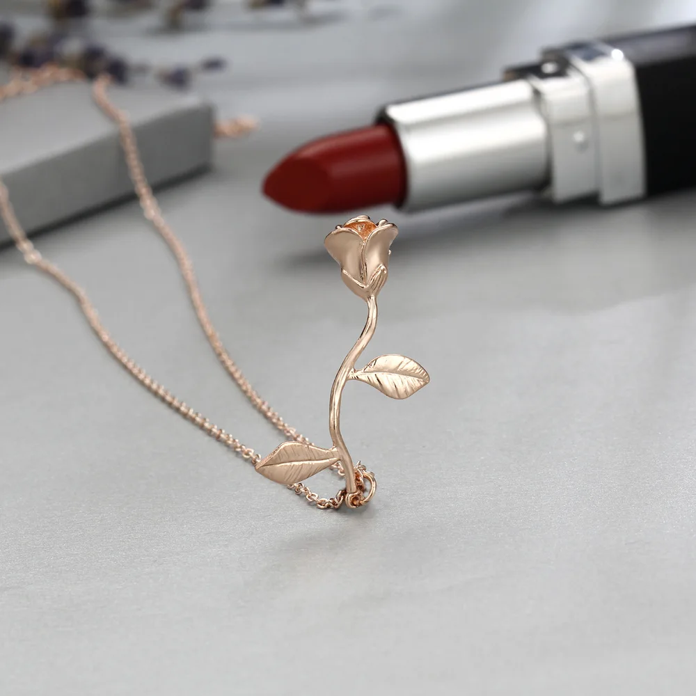 5145736350_793437558
