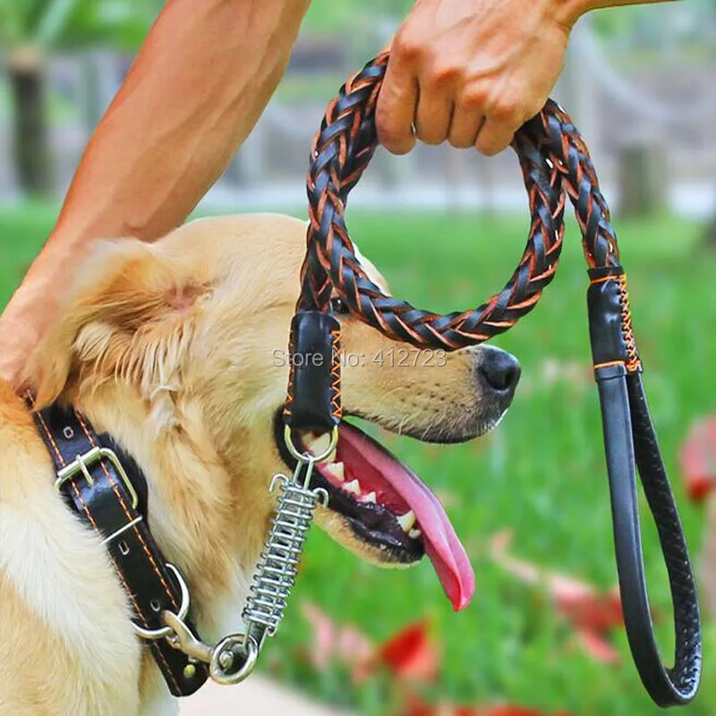 dropshipping pet supplies wholesale&retail Leather Dog Collar Chain