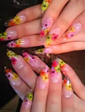 1set /lot 12 colors nail art dry flower ,3d nail art decoration nail art design 3d natual dry flower deco nails 12 colors DIY fashionable oumaxi 12 colors acrylic nail paints for 3d nail art drawings and designs
