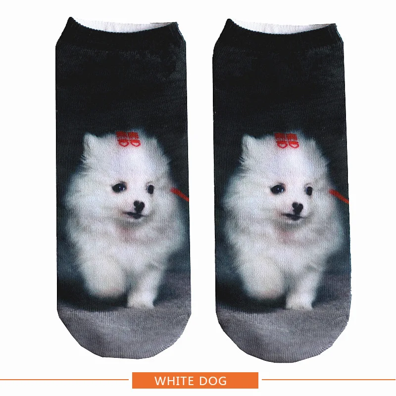 HTB1saFKOkzoK1RjSZFlq6yi4VXaT