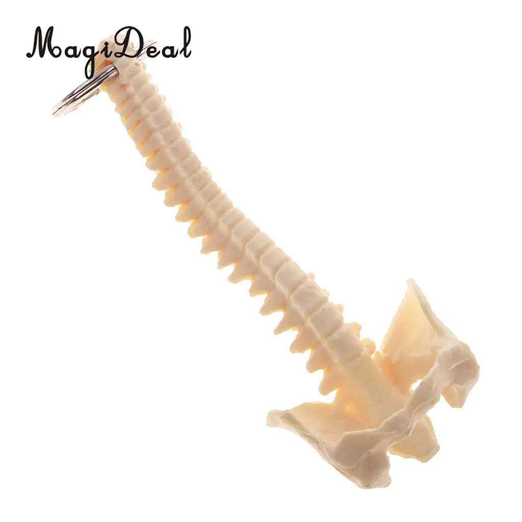 MagiDeal 1Pc Mini PVC Material Handcrafted Human Spine Skeleton Model Keychain for School Teaching Aid Tool Novelty Gift Beige