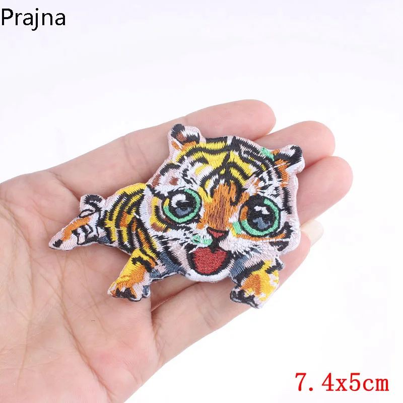 PE1329CT