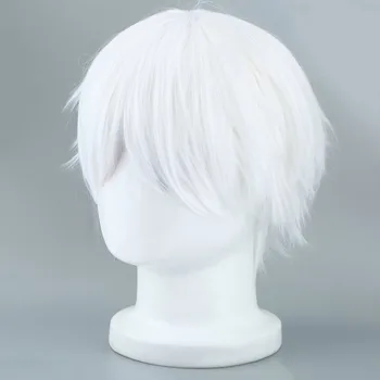 

Halloween Masquerade Party Costumers Tokyo Ghoul Cosplay Hairs Short Straight Silver Gray Color Silk Synthetic Hair New Arrival