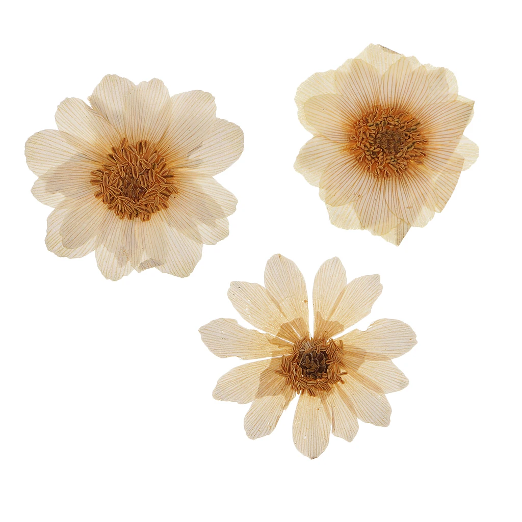 10 Pcs Dried Pressed ICE Flowers For Resin Flower DIY Arts Crafts Supplies