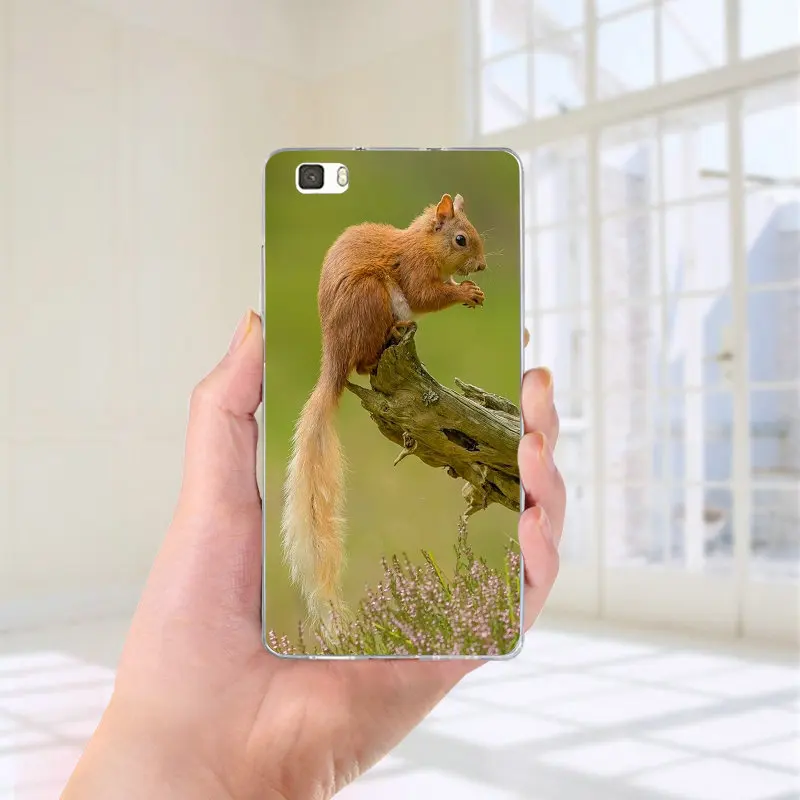 For Huawei P8 P9 P10 P20 P30 Honor 6X 7X 7 9 Mate 10 Pro Lite P Smart Silicone Soft TPU Mobile Phone Case Lovely Animal Squirrel For Huawei P8 P9 P10 P20 P30 Honor 6X 7X 7 9 Mate 10 Pro Lite P Smart Silicone Soft TPU Mobile Phone Case Lovely Animal Squirrel