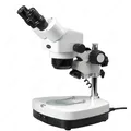 Stereo Binokular -- AmScope Supplies 5X-80X Stereo Zoom Binokular + Dual Halogen