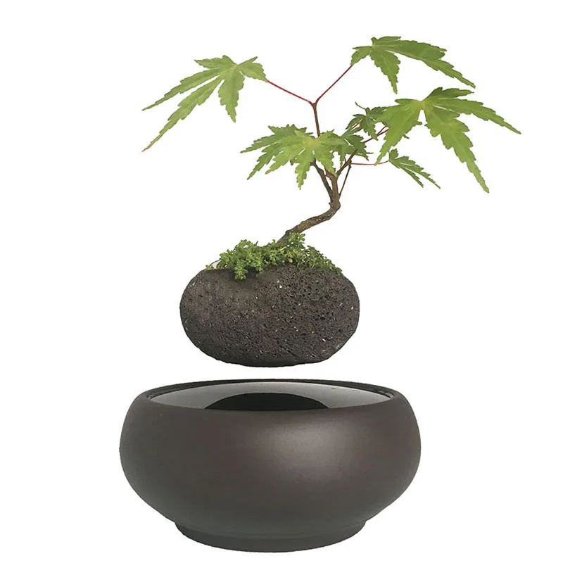 2018 Japan High tech Levitation Floating Bonsai Tree Ceramic