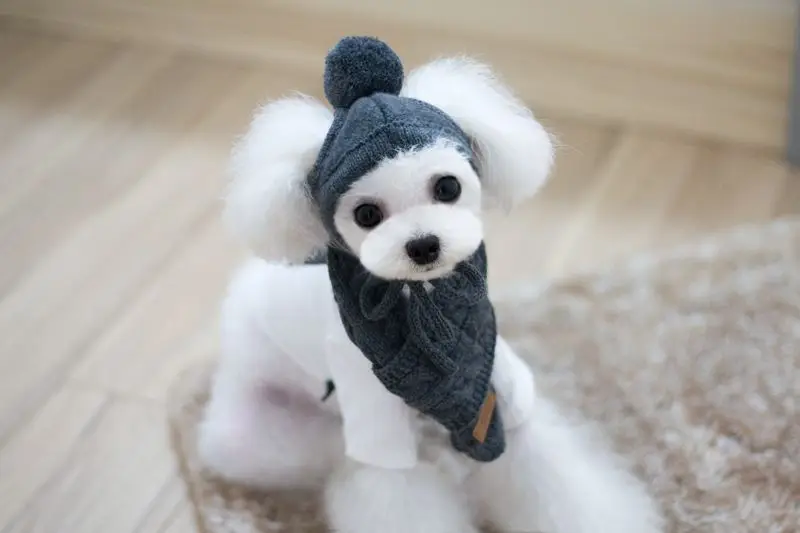 Теплая шапочка для домашних собак, набор шарфов, зимняя вязаная одежда для домашних животных ручной работы для маленьких собак, кошек, щенков, одежда для Йорка чихуахуа, костюм
