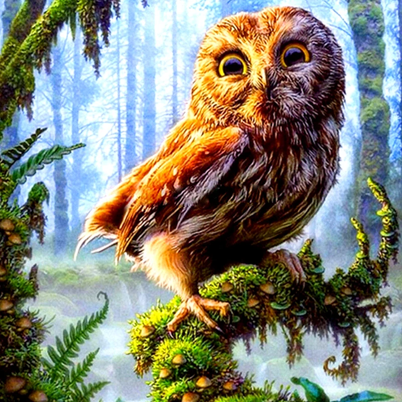 HTB1CRwxIFXXXXa3XFXXq6xXFXXXV 