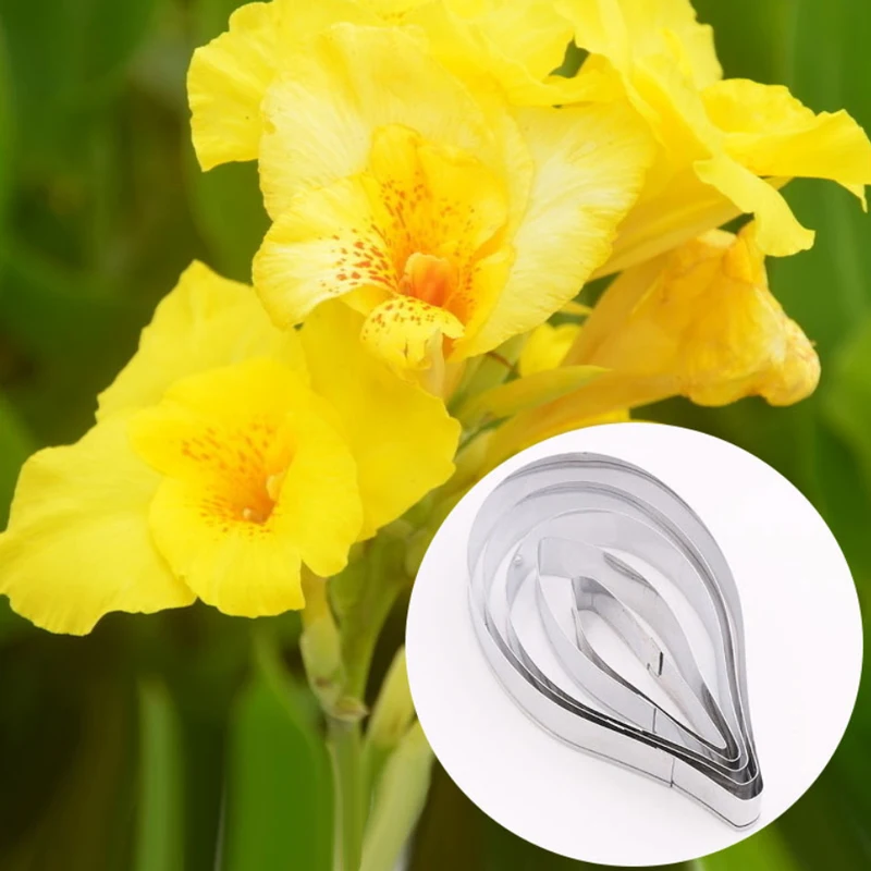 

Canna 5Pcs Stainless Stell Cookie Cutter Pastry & Biscuit Baking Cutter Cake Decorating Tools Cupcake Mold Fondant Tools