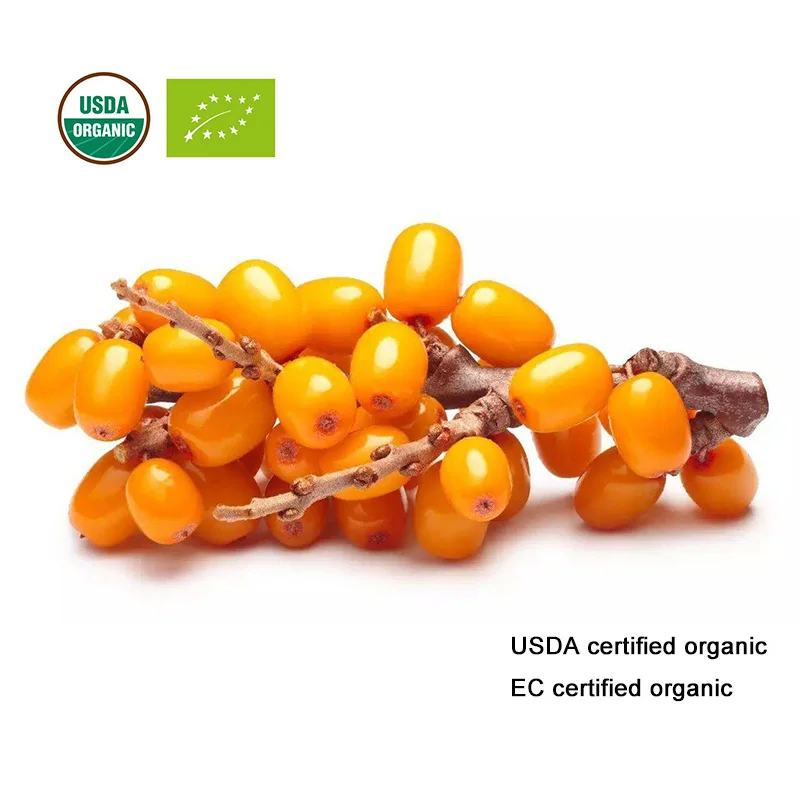 Сертифицированный USDA и EC органический порошок сока облепихи