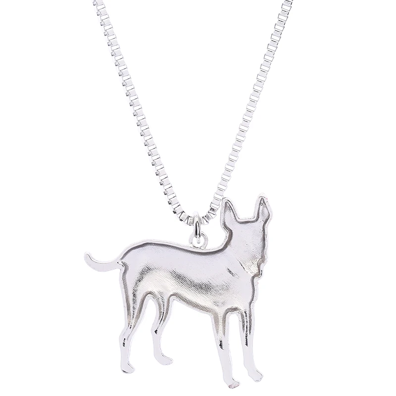 Carolina Dog (8)