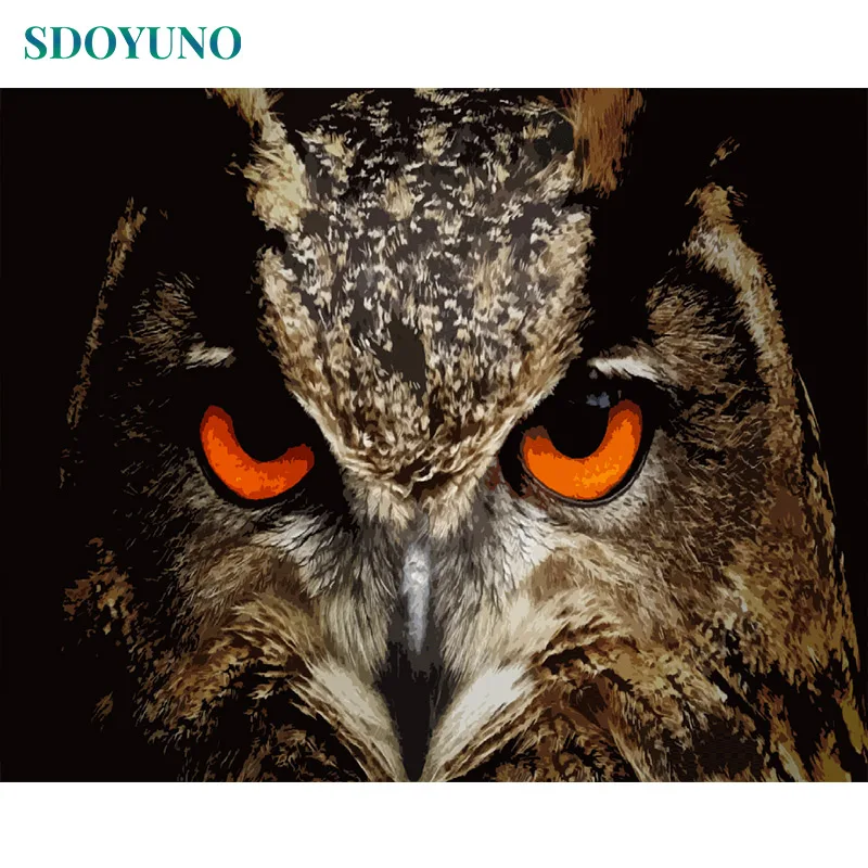 

SDOYUNO Owls Head Painting By Numbers Animals DIY Framed 60x75cm pictures by numbers Home Decor painting number For Adults