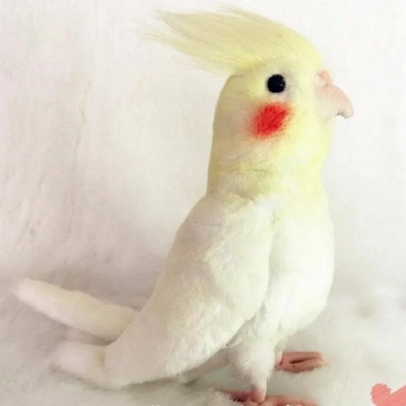 2 Цвета Моделирование Cockatiel кукла чучела птица плюшевая игрушка кукла животного детский подарок - Цвет: Yellow