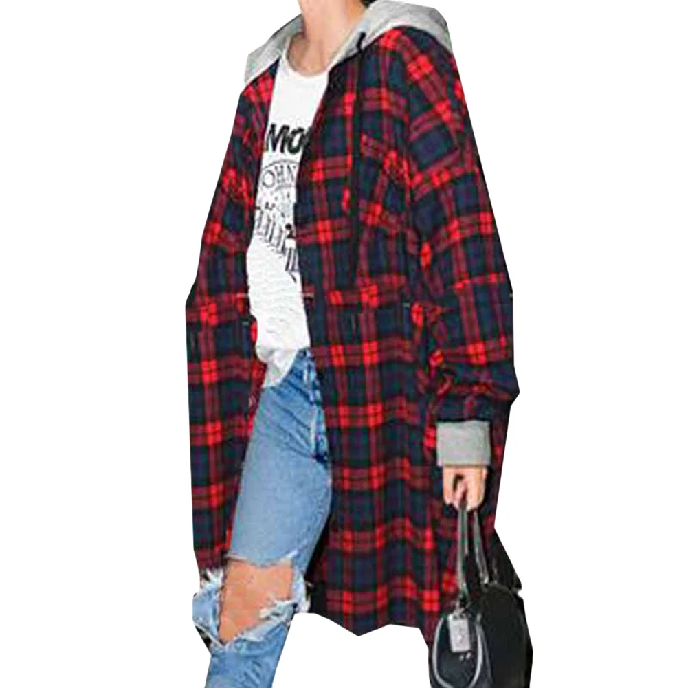 champion s244c