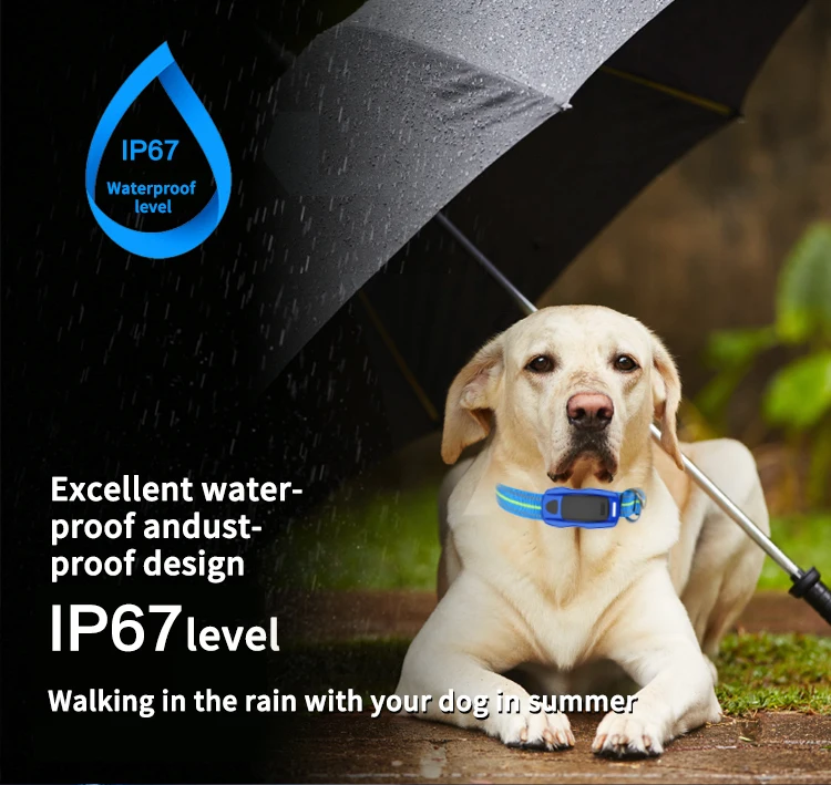 Мини gps-трекер для домашних животных Q1 водонепроницаемый IP66 трекер для собак/кошек Q1 отслеживание в реальном времени низкий уровень заряда батареи локаторы для домашних питомцев гео-забор бесплатное приложение