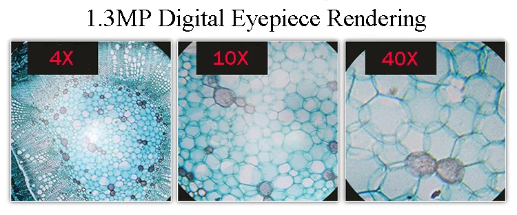 Professional Biological Microscope 400X with 3 Inches LCD Screen For Blood Detection Mites Aquaculture Instrument-9