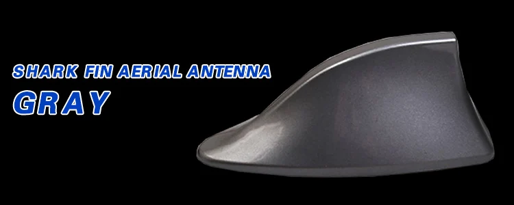 NBling07FBT_02