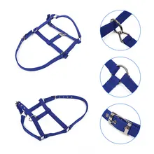 Пояс для верховой езды уздечка Регулируемый Холтер головной убор рогатый аксессуар красный/синий