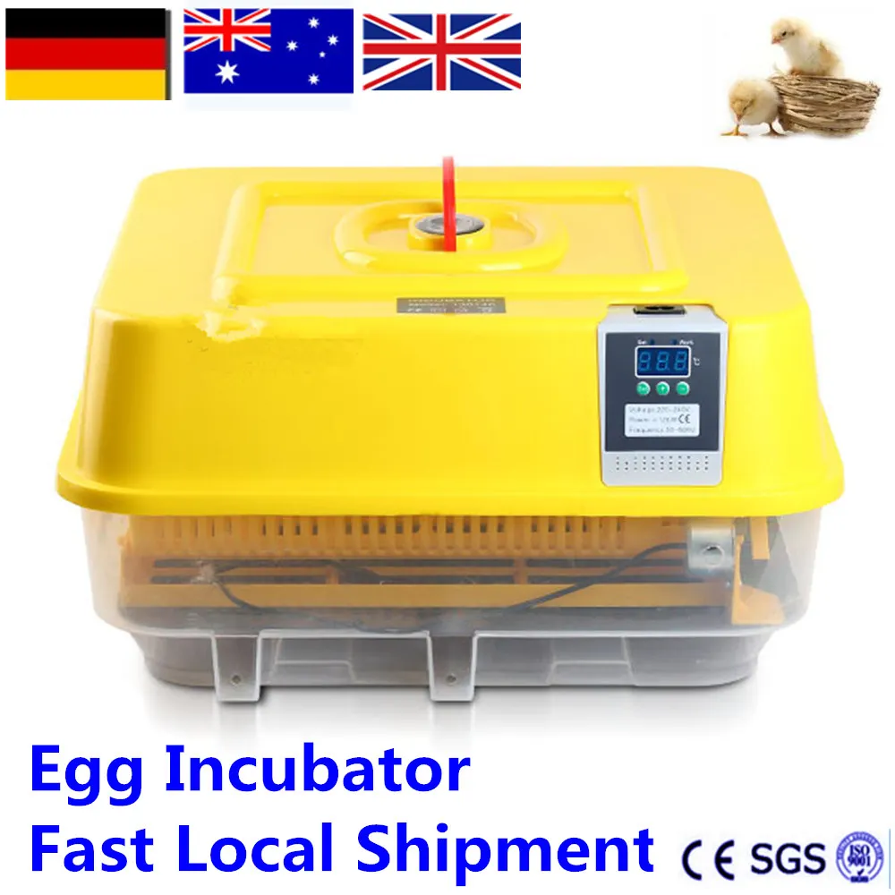Cheap Eggs Incubator Chicken Duck parrot pigeon Poultry Automatic Incubator Poultry Eggs hatcher