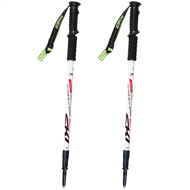 best cheap hiking poles