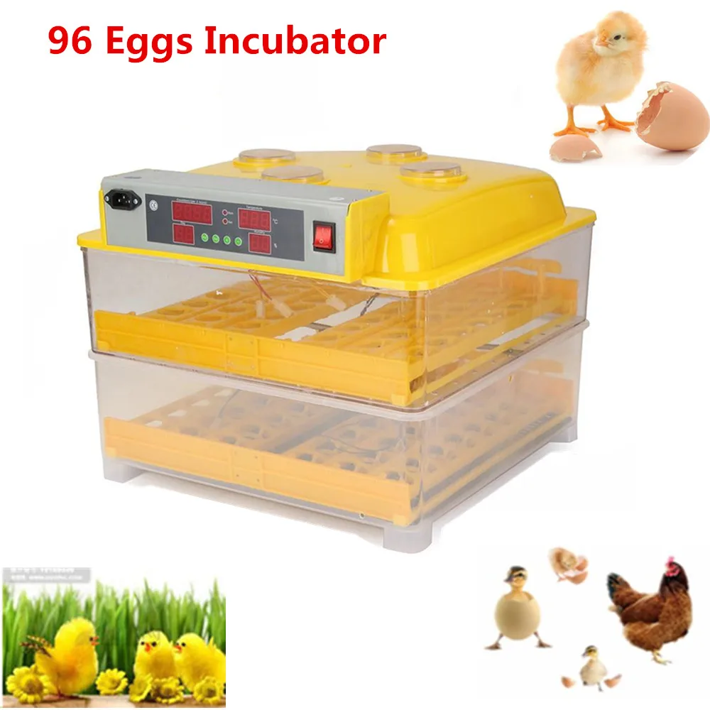 best duck incubator