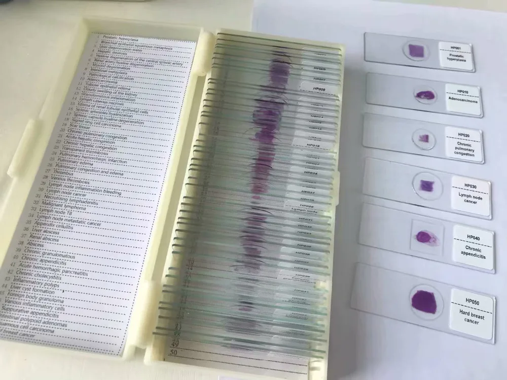 pathology prepared slides (3)