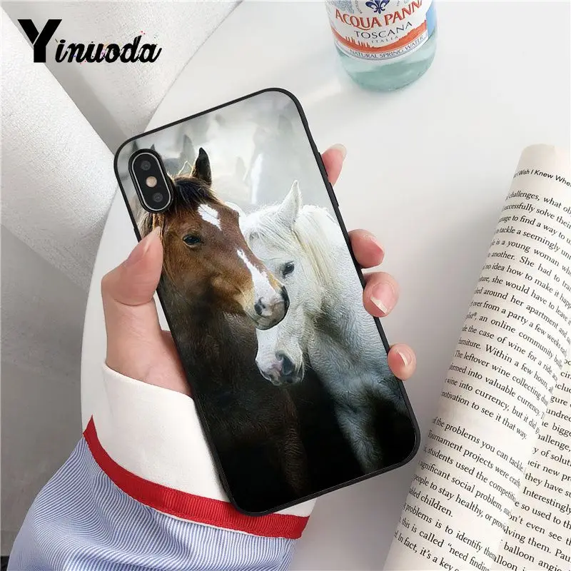 Animal Horse