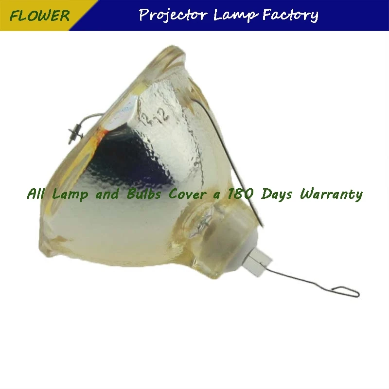 Рисунок 4 - DT00731, 180 дней гарантии