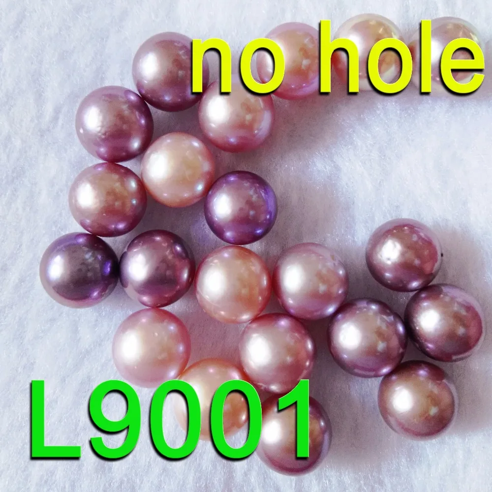 L9001