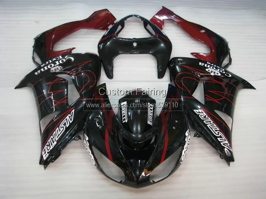 ZX10R-06-256