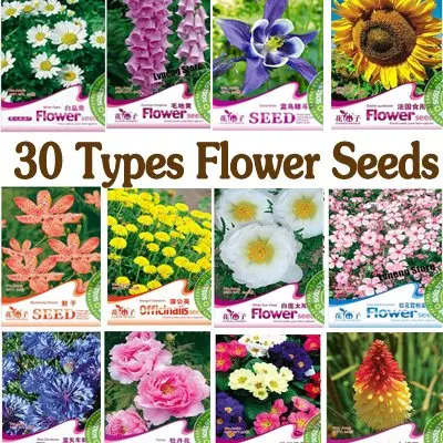 Find Your Loving Seeds Free Shipping 30 Types Various Plant B0002 Free Shipping 30 Types Various Plant B0002 Can Be Choosen 5 Packs Lot Wonderful Garden Flower In Bonsai From Home On Aliexpress