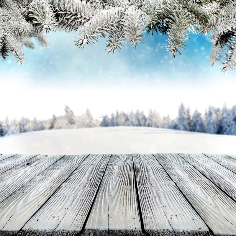 Laeacco Winter Snow Pine Branch Wooden Floor New Year Photography
Backgrounds Customized Photographic Backdrops For Photo Studio