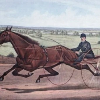 Queen Of The Turf Maud S Driven By WW Bair 1880 Currier & Ives (1834-1907 American) Lithograph Print (18 x (24 x 36)