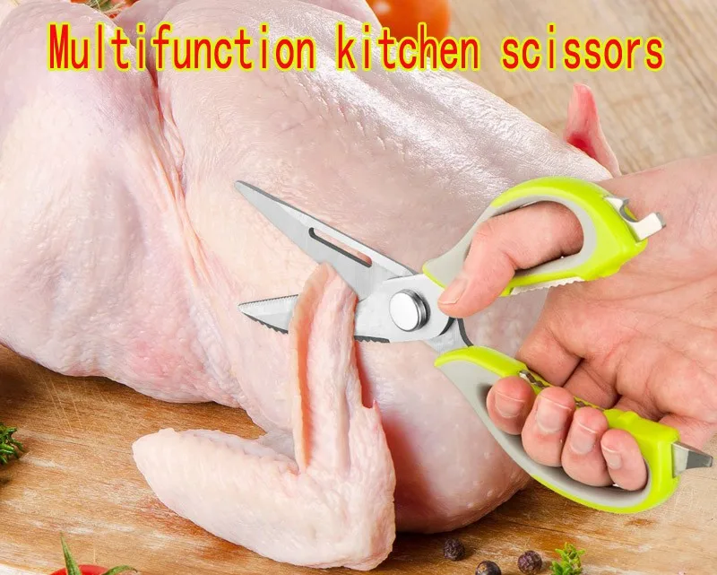 B1
