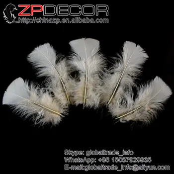 

Leading Supplier ZPDECOR Factory 500pcs/lot High Quality Beige Dyed Turkey T-Base Plumage Feathers for Wedding Decoration